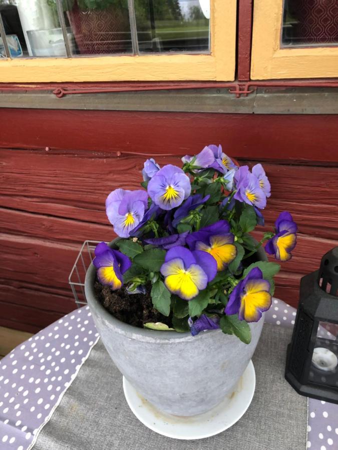 Mysigt Boende I Raettvik Med Utsikt Oever Siljan Exterior photo