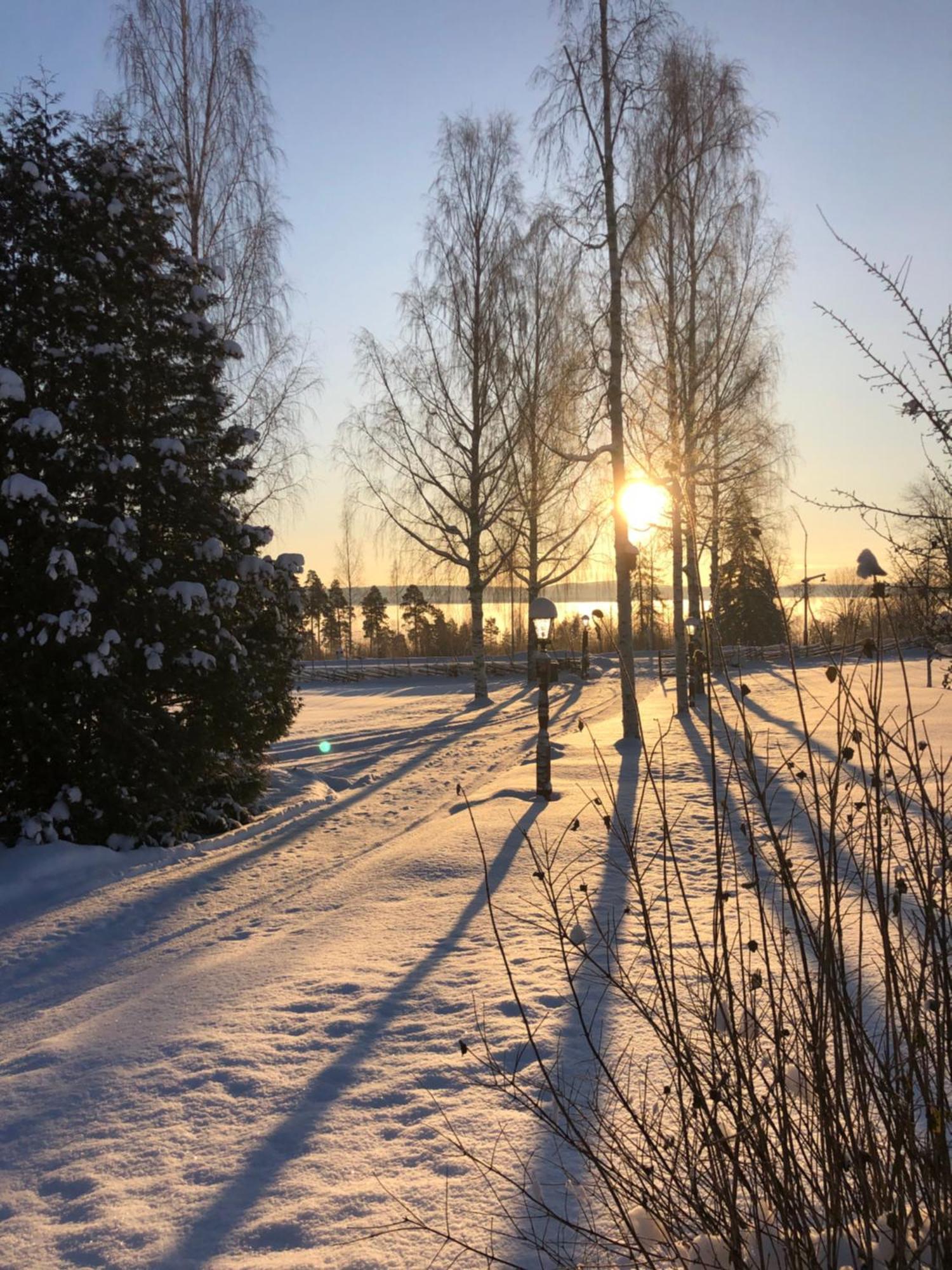 Mysigt Boende I Raettvik Med Utsikt Oever Siljan Exterior photo