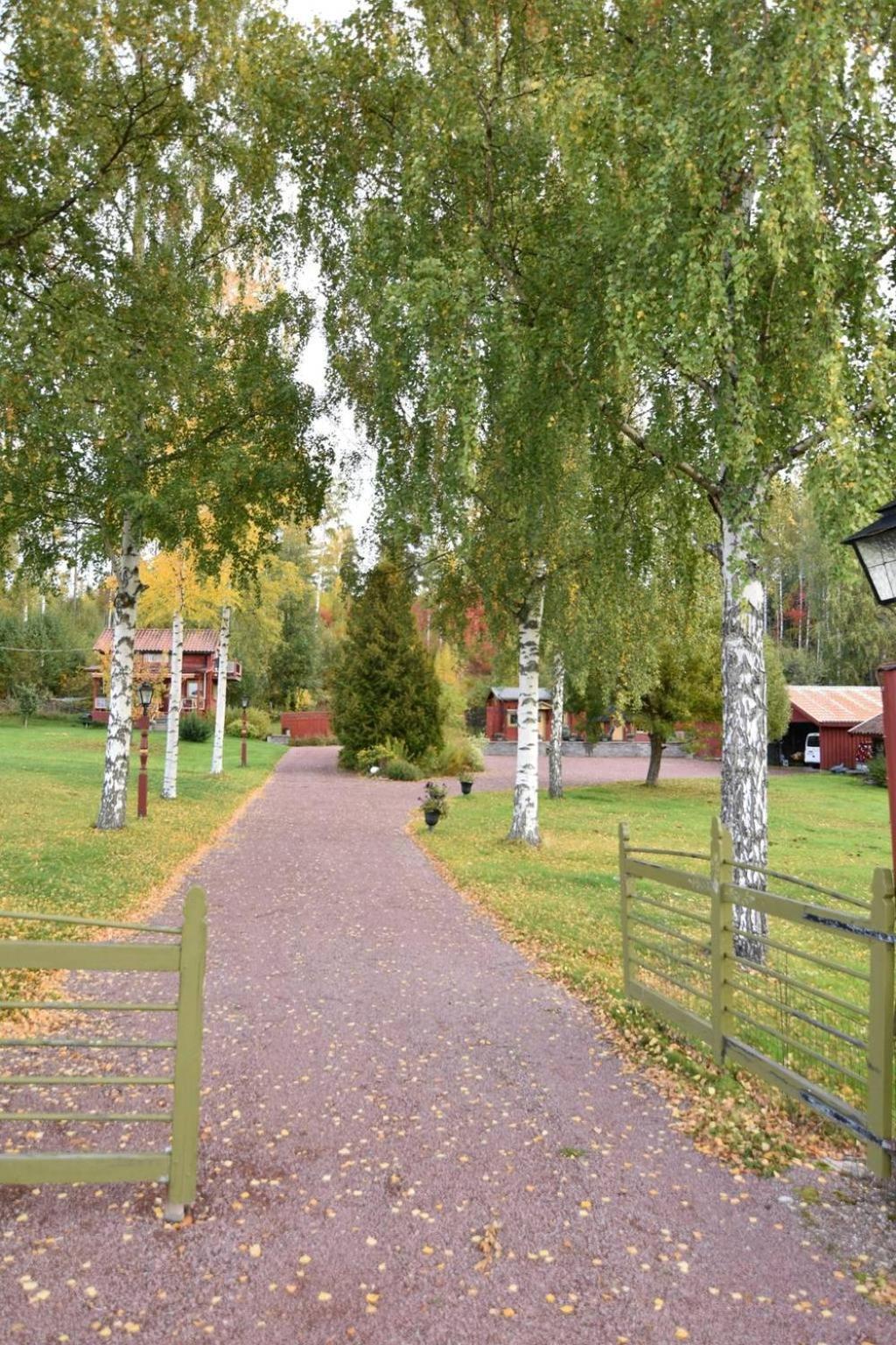 Mysigt Boende I Raettvik Med Utsikt Oever Siljan Exterior photo